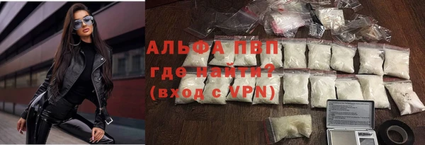 гидра Алексин