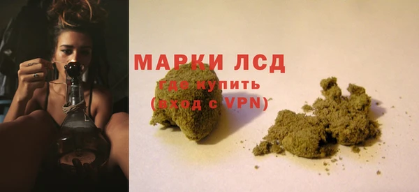 гидра Алексин