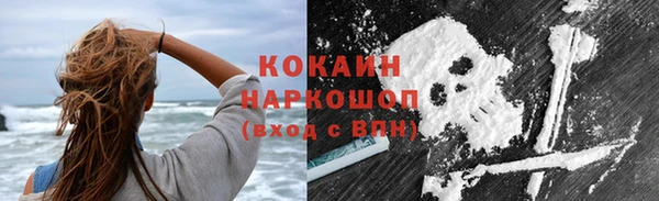 гидра Алексин