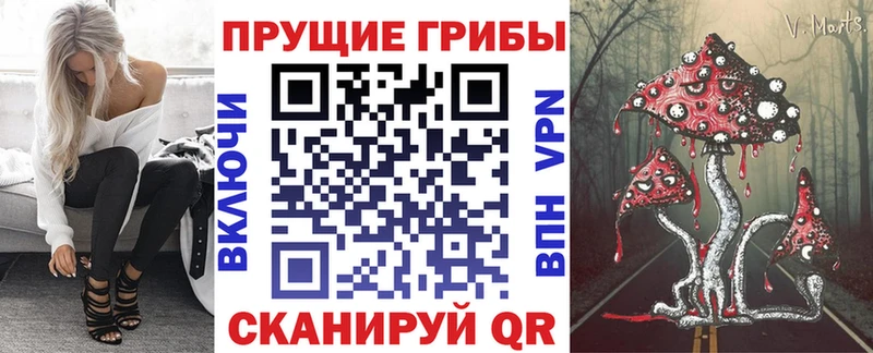 Псилоцибиновые грибы Psilocybe  Чехов 